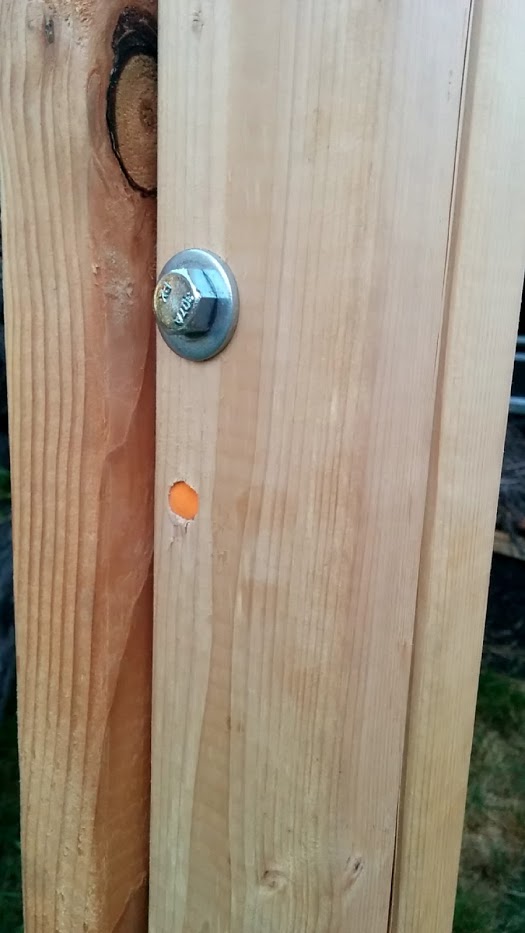 Sauna wall bolts